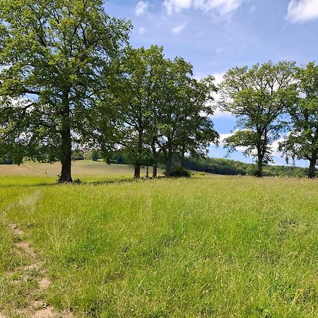 Chambres D'Hotes Sous Les Chenes Gondenans-Montby Exteriör bild