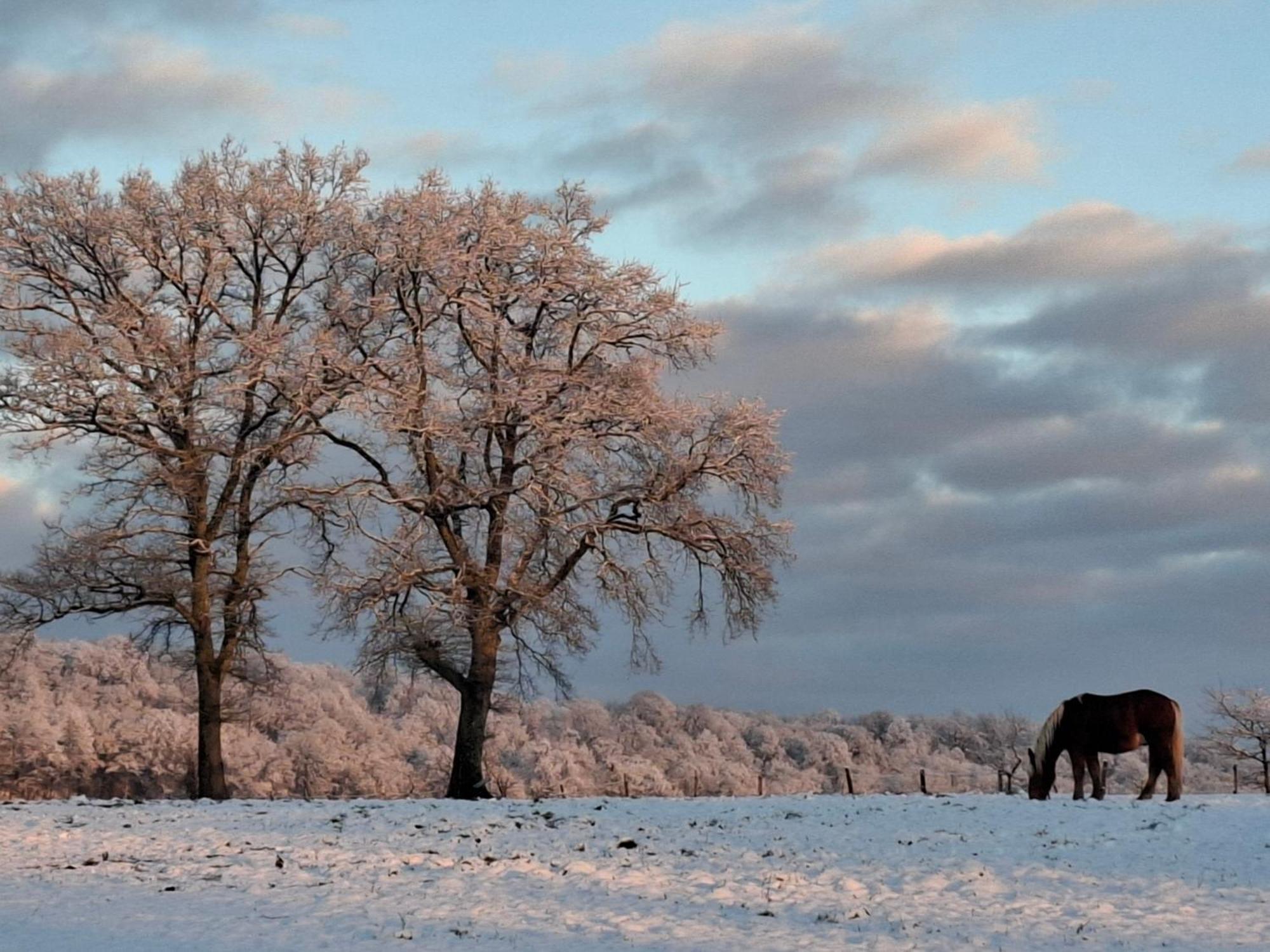 Chambres D'Hotes Sous Les Chenes Gondenans-Montby Exteriör bild