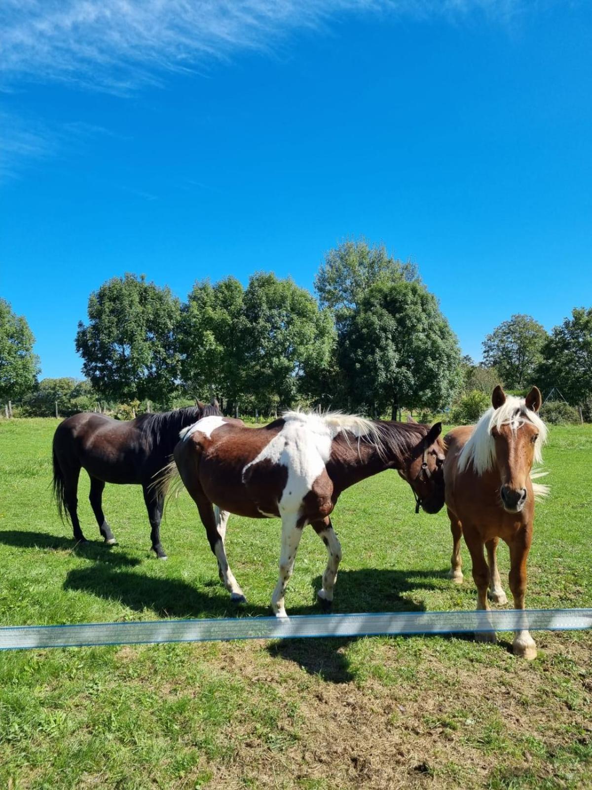 Chambres D'Hotes Sous Les Chenes Gondenans-Montby Exteriör bild
