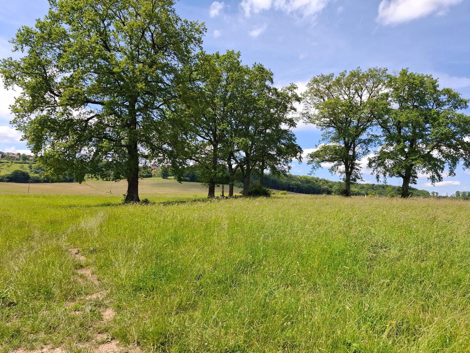 Chambres D'Hotes Sous Les Chenes Gondenans-Montby Exteriör bild